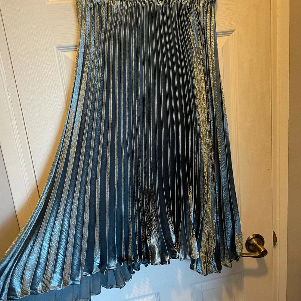 Anthropologie Pleated Skirt - Picture 4 of 6